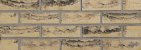 Плитка облицовочная DeRijswaard "Geel Grafiet"  арт. 172018, 214х66х21 мм, 56 шт/м2