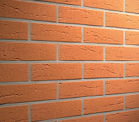 Клинкерная плитка Feldhaus Klinker R227NF9 terracotta rustico, 240*9*71 мм, ок.48 шт./кв. м., 48 шт.